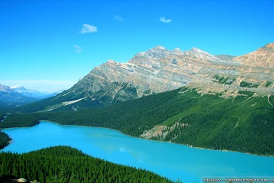 Summer In Canada Wallpapers   Crazy Frankenstein