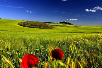 Nature Wallpapers Hd