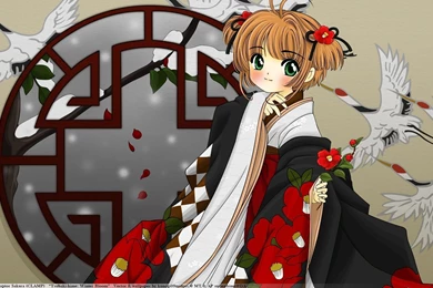 Anime Wallpapers   Anime Female Characters Wallpapers (17831996 ...