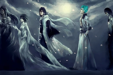 Bleach Anime Manga People Dark Men Women Males Girls Female Moon ...