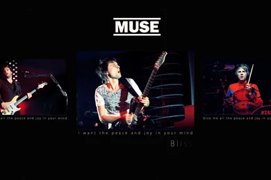 Muse Wallpapers Full HD 49431 Full HD Wallpapers Desktop   Res ...