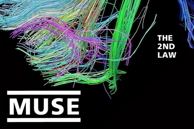 The 2nd Law Wallpapers   Muse Wallpapers (32290958)   Fanpop