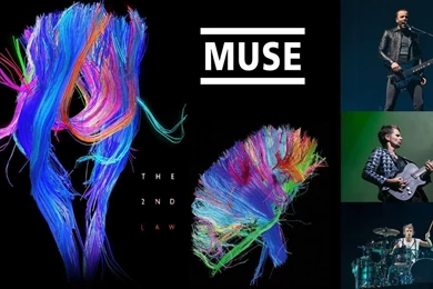 Muse Wallpapers For Android Download 49467 Full HD Wallpapers ...