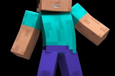 Minecraft Steve Head
