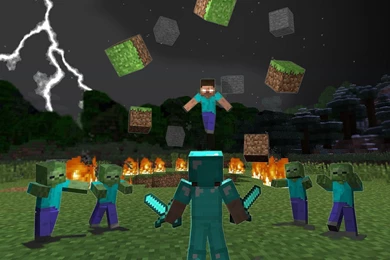 MINECRAFT STEVE PICTURES BZ004