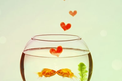 Cute Sweet Love Little Couple iPhone 6 Wallpapers Download