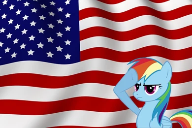USA Rainbow Dash Desktop Wallpapers 24594
