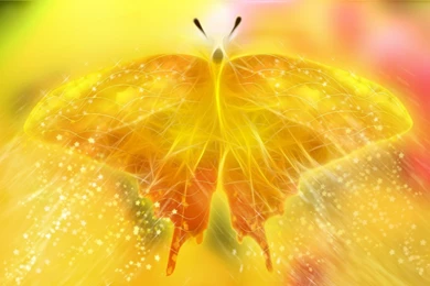 Desktop hd yellow orange backgrounds.jpg