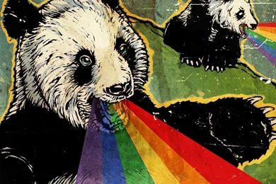 What's Your Wallpaper? : CasualConversation