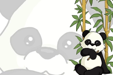 Cartoon Panda Wallpapers