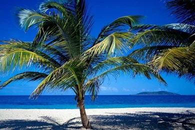 Travel Africa Arabia And Caribbean Wallpaper Backgrounds Of High ...