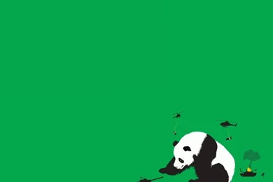 Panda Computer Wallpapers, Desktop Backgrounds