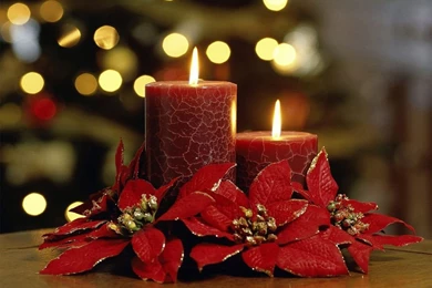 Christmas Ornaments Wallpapers Crazy Frankenstein