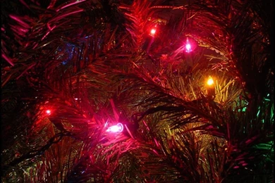 1024x768 Sad Little Christmas Desktop PC And Mac Wallpapers