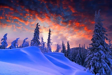 Winter Christmas HD Desktop Wallpapers : Widescreen : High ...