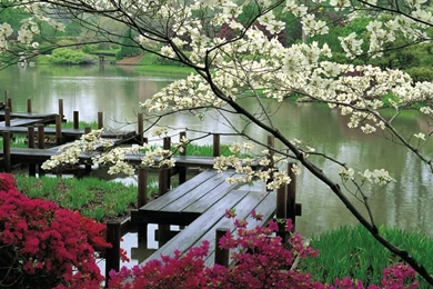 Japanese Garden Desktop Wallpapers