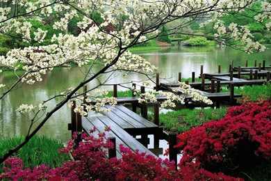 Japanese Garden Desktop Wallpapers