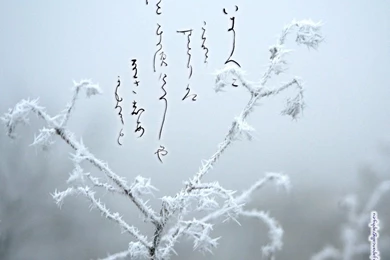 Japanese Calligraphy Desktop Wallpapers Seasons