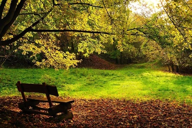 HD Wallpapers Natures