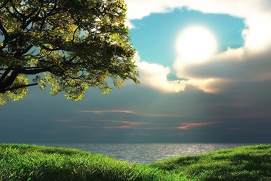 Free Nature Wallpapers