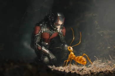 ANTMAN Computer Wallpapers, Desktop Backgrounds