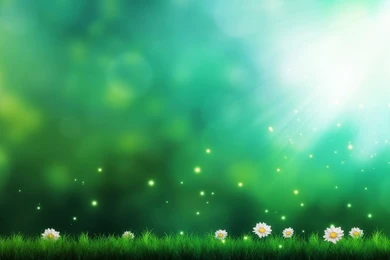 Cool Green Background Picture Wallpaper.jpg