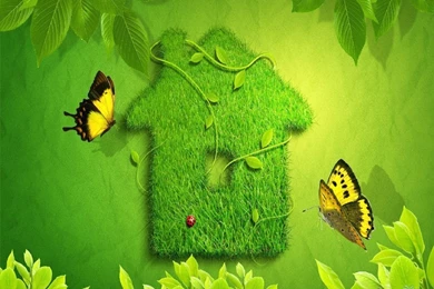 Just Amazing High Resolution Nature Wallpapers