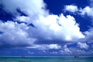 Wallpapers And Images   Wallpapers, Pictures, Photos