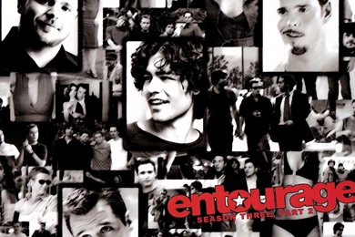 Entourage Season 7 DVD