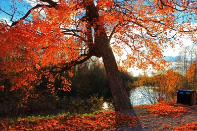 4K Ultra HD Autumn Wallpapers HD, Desktop Backgrounds 3840x2160