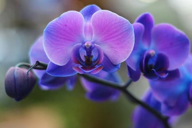 Swimming Pool Backgrounds Wallpapers   Popomypics.com