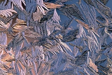 iPhone 5 Wallpapers, iPhone 5 Backgrounds