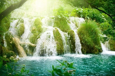 1920x1080 Waterfall Forest Wallpapers