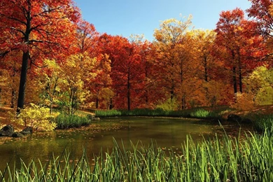 River During Fall 1920x1080 Nature Wallpapers