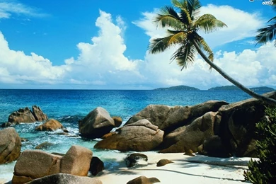 Top Backgrounds Information On Natural Images For Pinterest