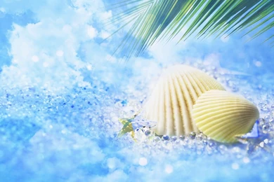 Free Wallpapers   Free Nature Wallpapers   Cg Seasons Spring Summer ...