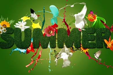 Latest HD Summer Wallpapers 2016