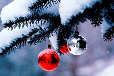 Christmas Tree HD Wallpaper.jpg