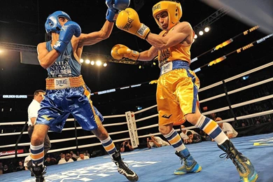 Boxing Sports Sport Fighting Fight Gloves G Wallpapers