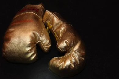 GOLDEN BOXING GLOVES WALLPAPER