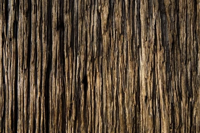 Download Wallpapers 3840x2160 Bark, Wood, Background, Texture 4K ...
