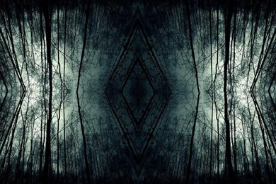 Dark Forest Backgrounds By Angellore69 On DeviantArt