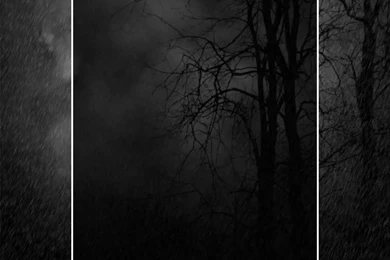 Myspace Dark Forest Backgrounds Pictures, Myspace Dark Forest ...