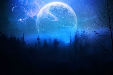 Dark Forest By Beyzayildirim77 On DeviantArt