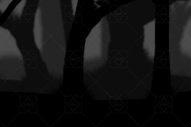 Dark Forest Backgrounds