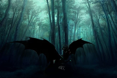 The Dark Forest By TheBlack Arrow On DeviantArt