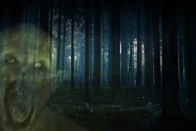 DARK FOREST   Dark Ambient Creepy Horror Windy Stalker Music   YouTube