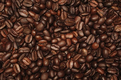 Coffee Bean Wallpapers By Mrskupe On DeviantArt