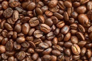 Development: Coffee Bean, Picture Nr. 57331