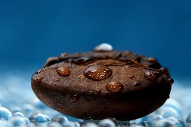 Coffee Bean iPad Wallpapers Download